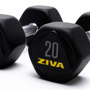 ZIVA Performance Hexagon Steel Dumbbell 2,5 kg (Par)
