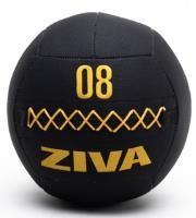 ZVO Premium Wall Ball 7 kg