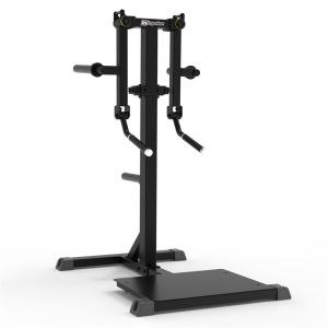 Impulse - Elevacion Lateral de Pie (Standing Lateral Raise)Gama IFP de Carga de Discos