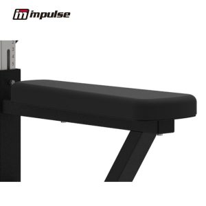 Impulse - Remo bajo/Polea alta (Lat pulldown/Vertical row) - Gama IF93 Selectorizada
